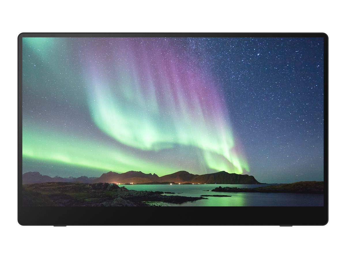Ricoh 150 - OLED-Monitor - 39.6 cm (15.6") - tragbar - Touchscreen - 1920 x 1080-1