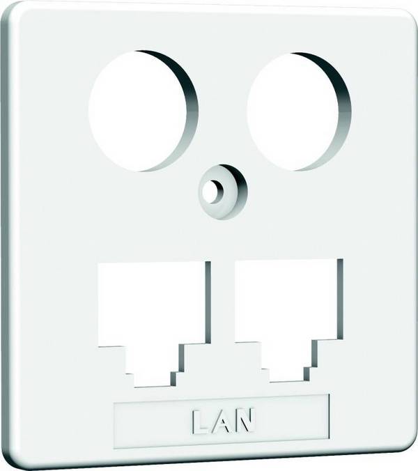 HW Zentralplatte ZP-EK1 LAN/LAN 50mm rw HAXHSE-G0401-C021 Install.Baumaterial Netzw.Telekomm