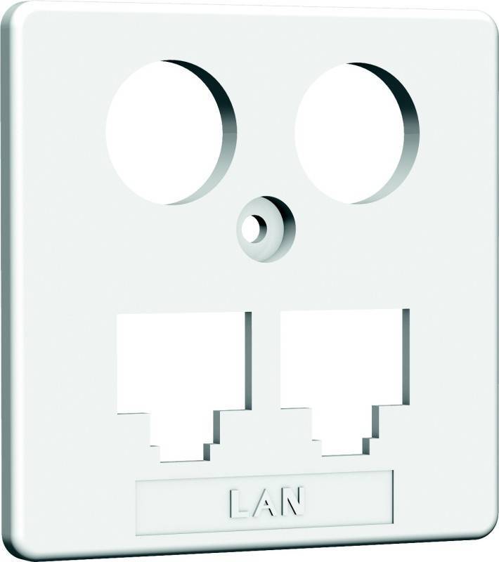 HW Zentralplatte ZP-EK1 LAN/LAN 50mm rw HAXHSE-G0401-C021 Install.Baumaterial Netzw.Telekomm-0