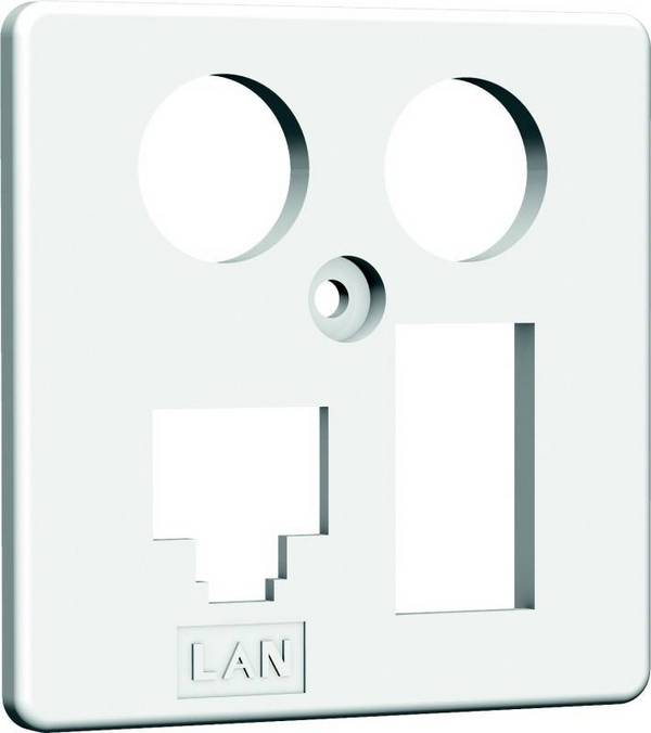 HW Zentralplatte ZP-EK4 LAN/TAE 50mm rw HAXHSE-G0401-C024 Install.Baumaterial Netzw.Telekomm