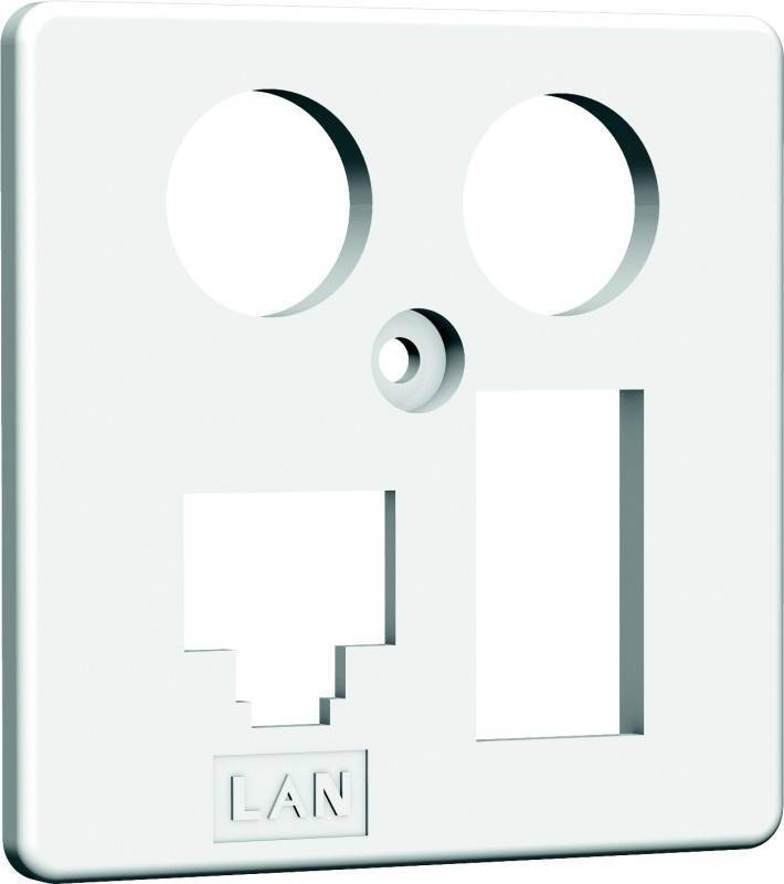 HW Zentralplatte ZP-EK4 LAN/TAE 50mm rw HAXHSE-G0401-C024 Install.Baumaterial Netzw.Telekomm-0