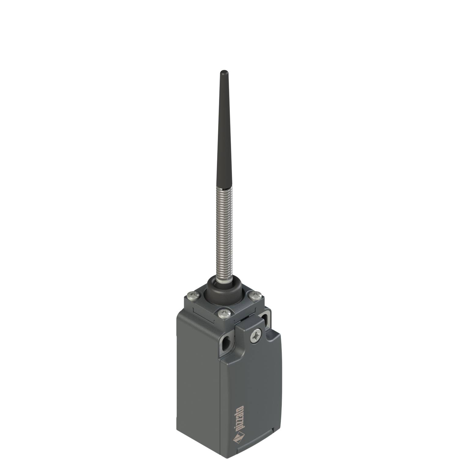 Pizzato FR 520M2, Positionsschalter mit flexiblem Stab mit Kunststoffspitze-0