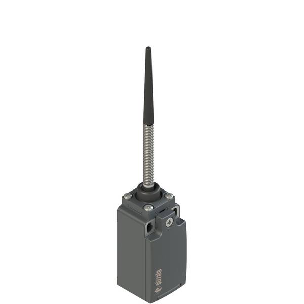 Pizzato FR 520-M2 Positionsschalter, Schraubenfeder mit Kunststoffspitze