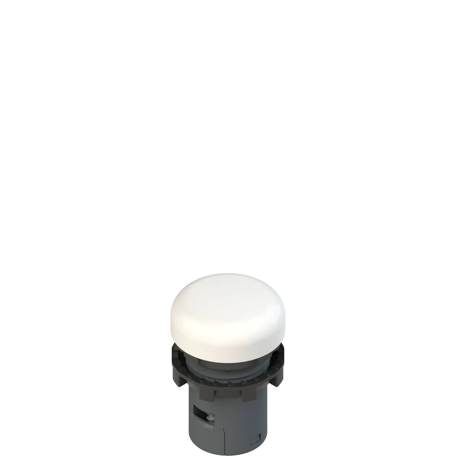 Pizzato E6 1IL1A2110 Illuminated monolithic indicator-0
