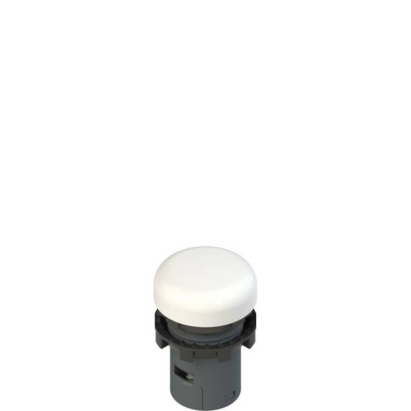 Pizzato E6 1IL1A2110 Illuminated monolithic indicator