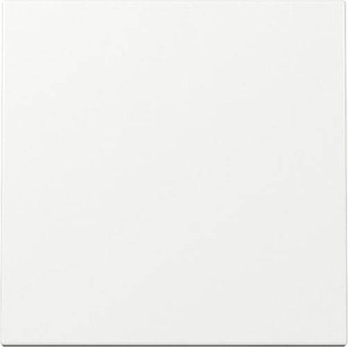 Wippe Wechsel 329603 GIRA System 55 Reinweiss