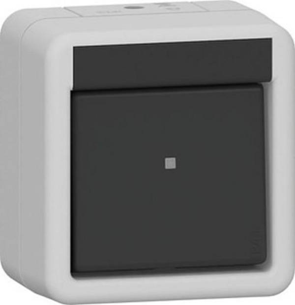 Wippschalter AusWe WG AP     310630 Grau