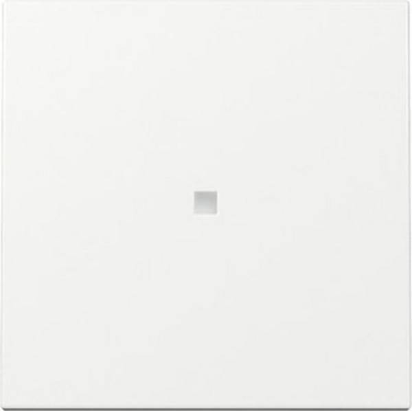 GIRA - 329003 Wippe Kontrollf. Reinweiß