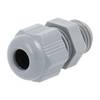 STEX24 Kunststoff Kabelverschraubung - STEX24 Eigenmarke M12x1,5 SKU-E VPE 10 Polyamid (PA) Gewindelänge 8,0mm - 1