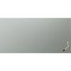 Mattes Glasboard Sicherheitsglas BxH 2000 x 1000 mm salbei. Legamaster GmbH 83361849