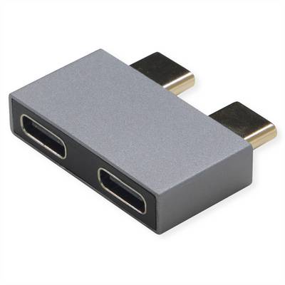 ROLINE USB 3.2 Gen 2 Adapter, 2x USB Typ C - 2x Typ C, ST/BU, silberfarben-0