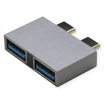 ROLINE USB 3.2 Gen 2 Adapter, 2x USB Typ C - 2x Typ A, ST/BU, silberfarben-0