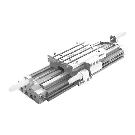 Aventics CKP-DA-016-0900-TG-MM00S007LP000P0P0, Kolbenstangenlose Zylinder, Serie CKP R480163946-0