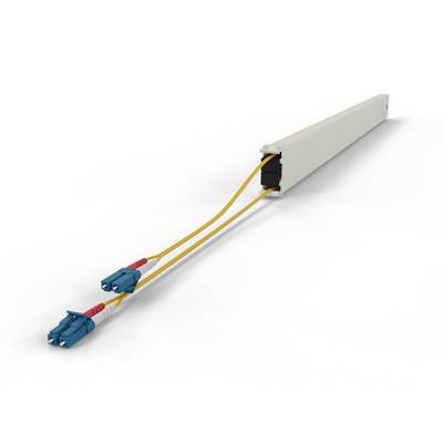 PATCHBOX CONE46OS211 InfiniBand/fibre optic cable Kabel & Adapter Zubehör Sonstige-0