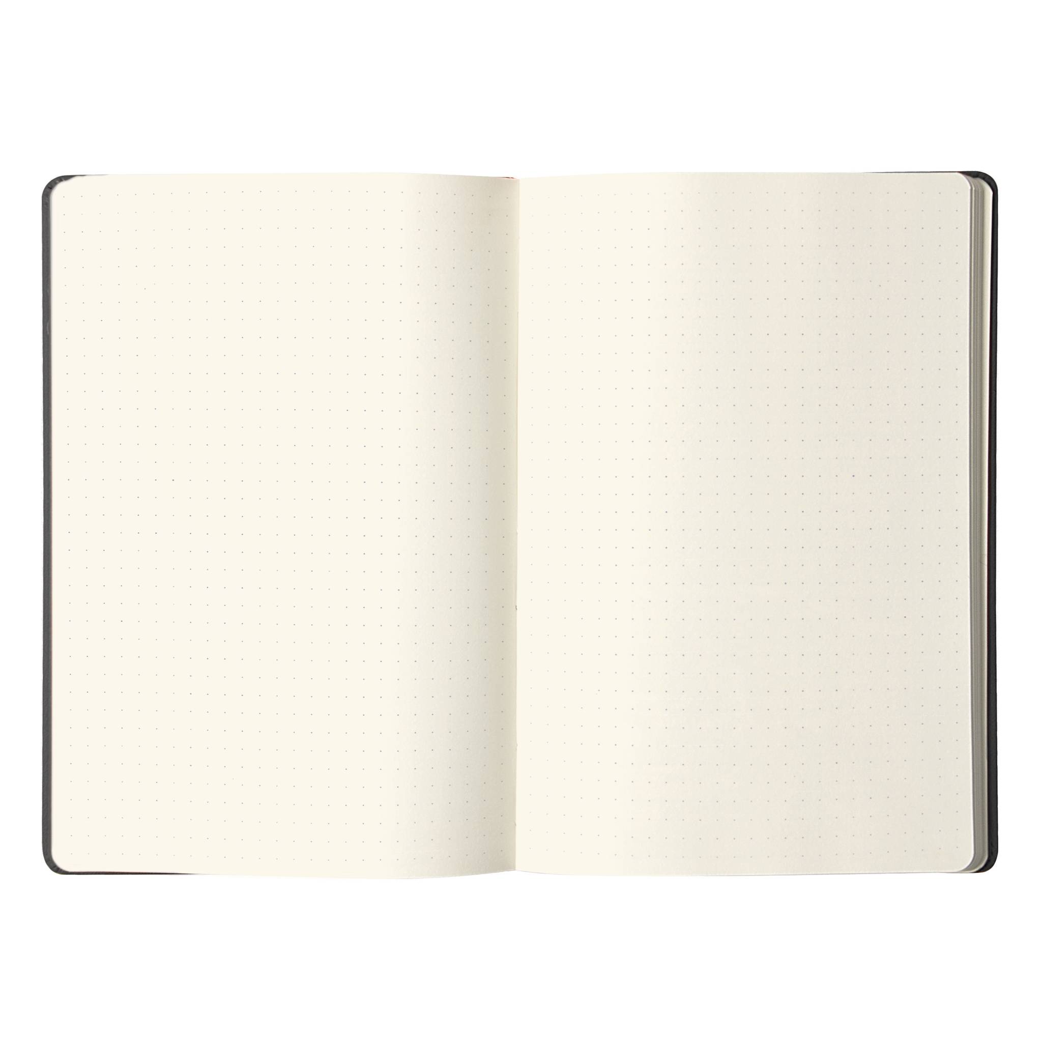 RHODIA Notizbuch "Webnotebook", DIN A5, gepunktet, schwarz-2