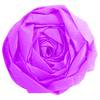 Clairefontaine 901003C Clairefontaine Krepp-Papier, (B)500 mm x (L)2 m, fuchsia