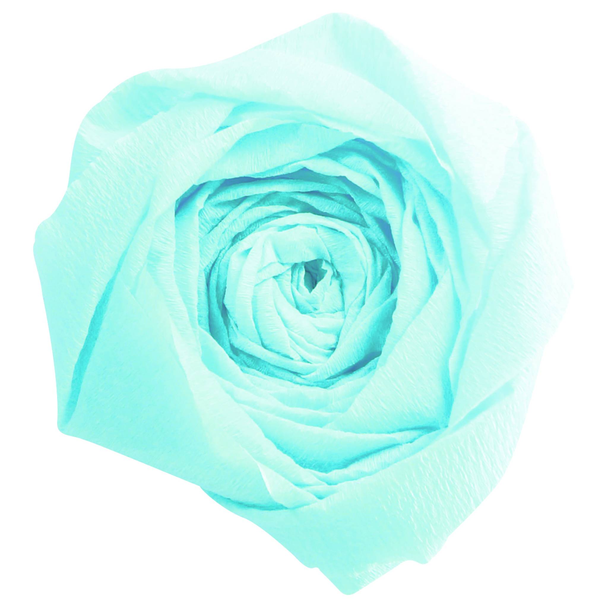 Clairefontaine 901025C Clairefontaine Krepp-Papier, (B)500 mm x (L)2 m, türkis-0