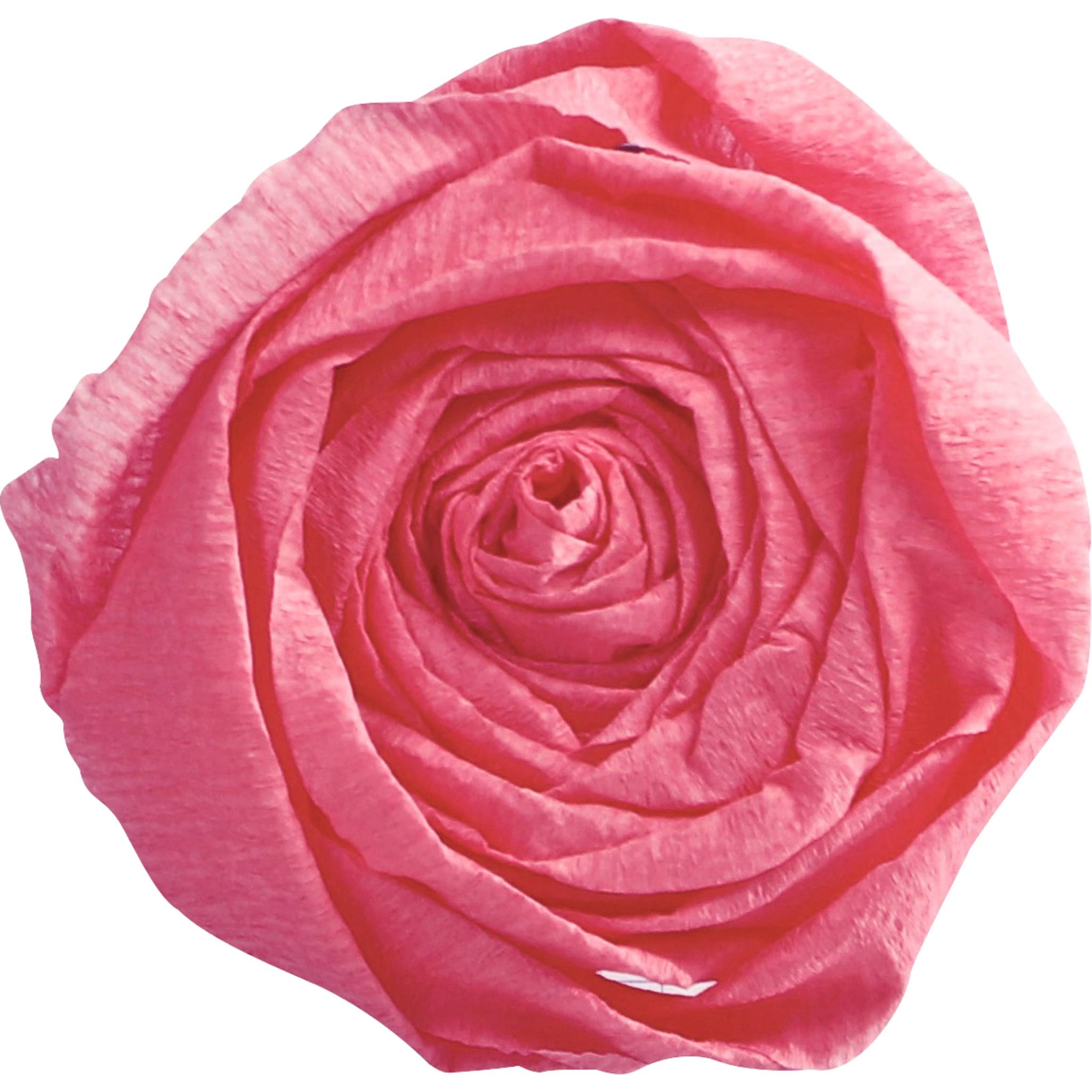 Clairefontaine 901060C Clairefontaine Krepp-Papier, (B)500 mm x (L)2 m, rosa-1