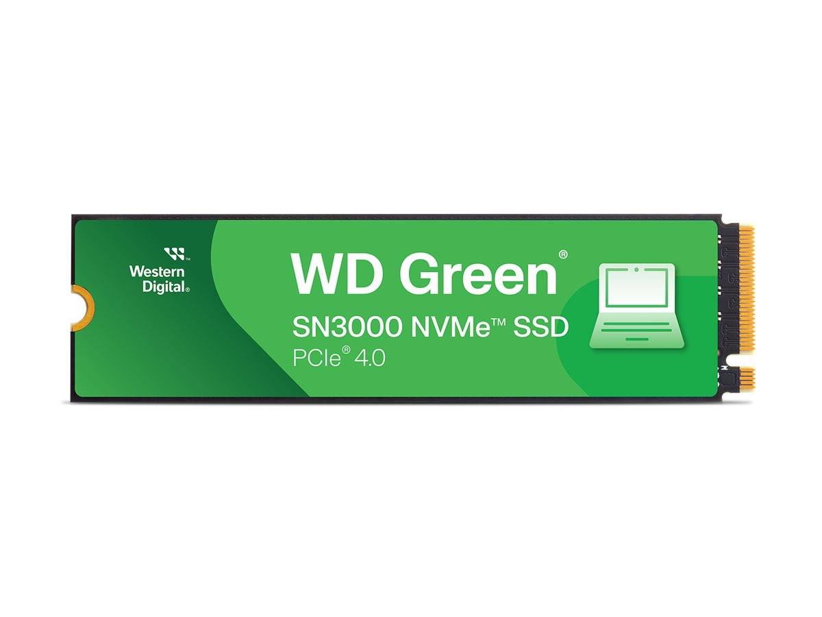 WD WDS100T4G0E-00CPS0SSD WD Green Sn3000 SSD-1