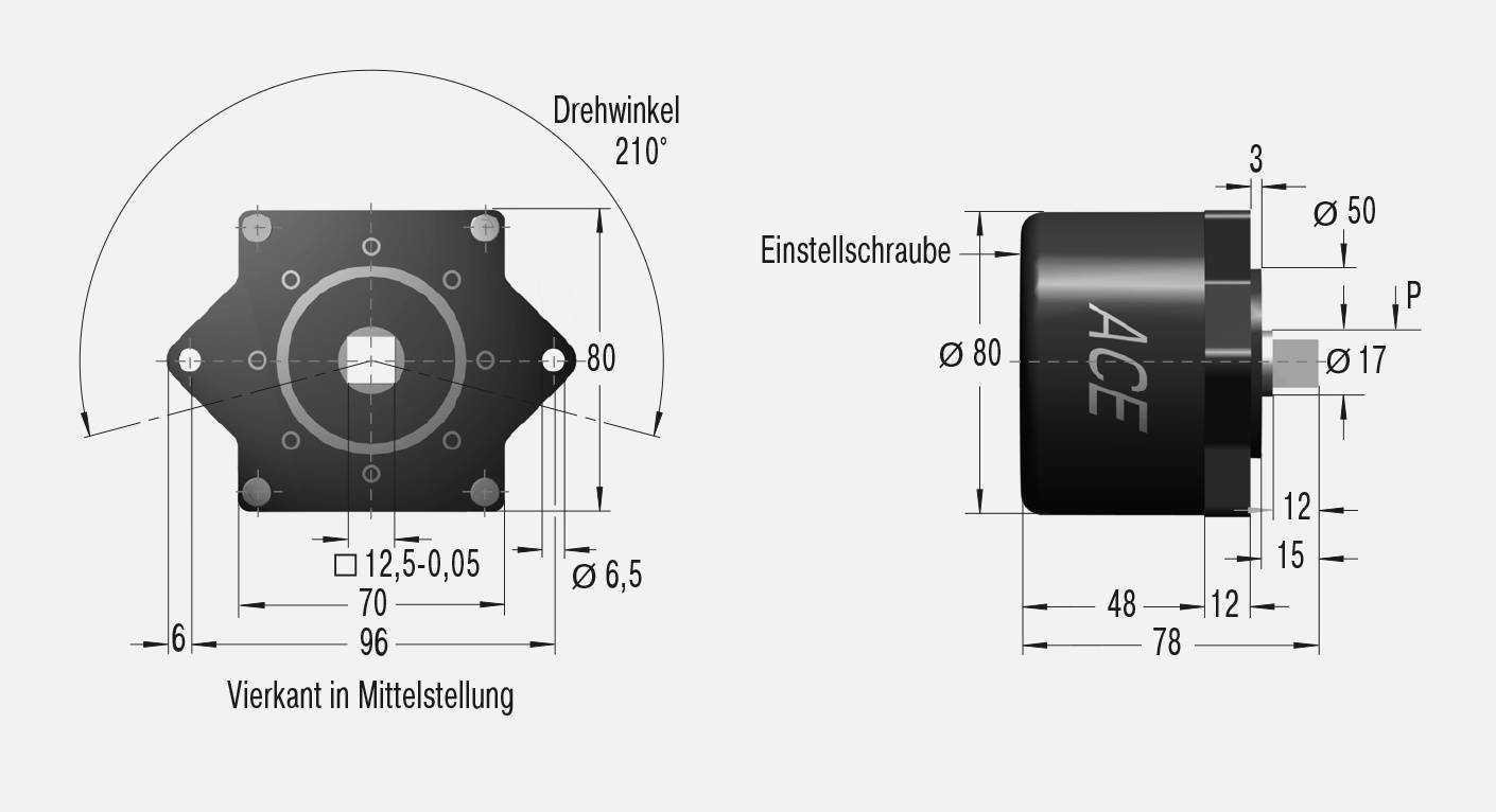 ACE Controls FYN-LA3-R, Rotationsbremsen, Justierbare Höchstleistung-2