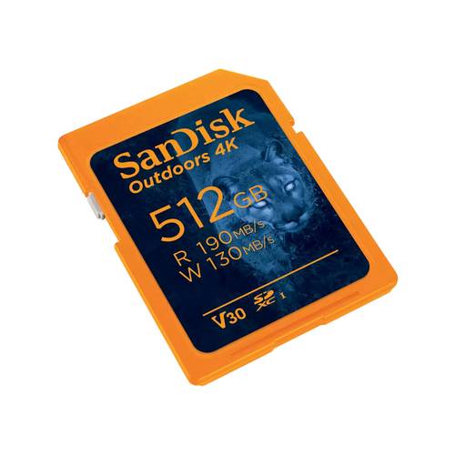 SANDISK - Extreme Plus - Flash-Speicherkarte - 256 GB - Extended Capacity SD (SDXC)-1