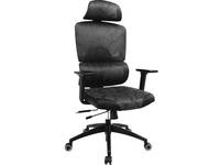 Sandberg ErgoFusion Pro - Gaming-Sessel - ergonomisch-1