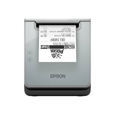 Epson TM L100 (111) - Belegdrucker - Thermozeile-0