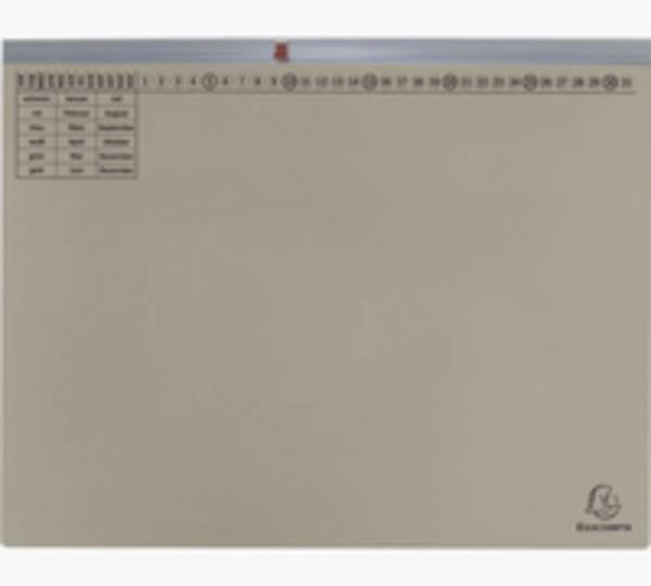 EXACOMPTA Hängehefter Exaflex Premium, 1x rechts, grau (8700795)