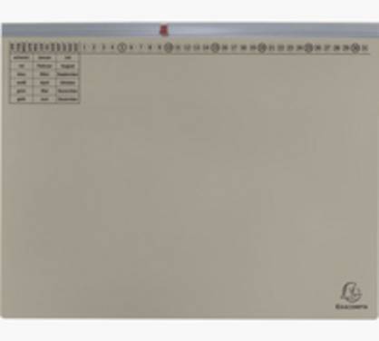 EXACOMPTA Hängehefter Exaflex Premium, 1x rechts, grau (8700795)