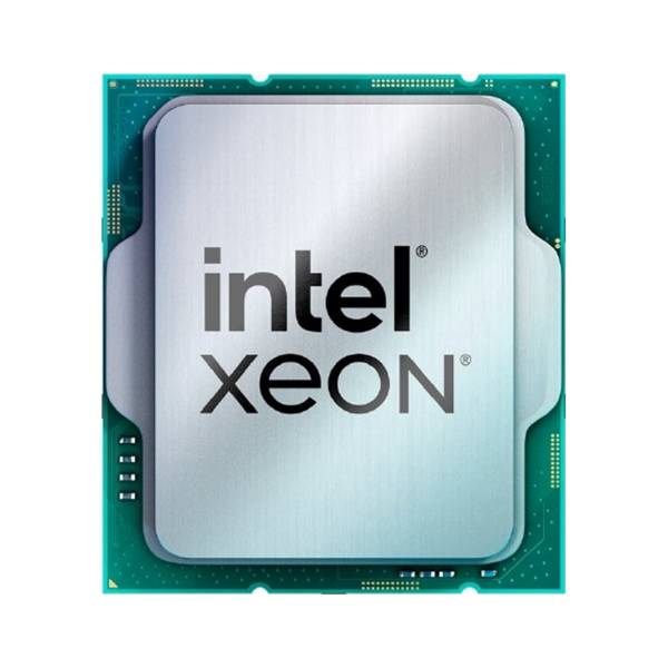 Intel Xeon E-2414 - 2.6 GHz - 4 Kerne - 4 Threads