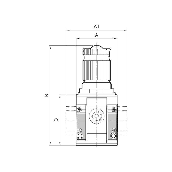 Riegler 5626R266 In-series regulator »SYNTESI«, size 2, G 1, 0…8 bar, P\n: 140248-2