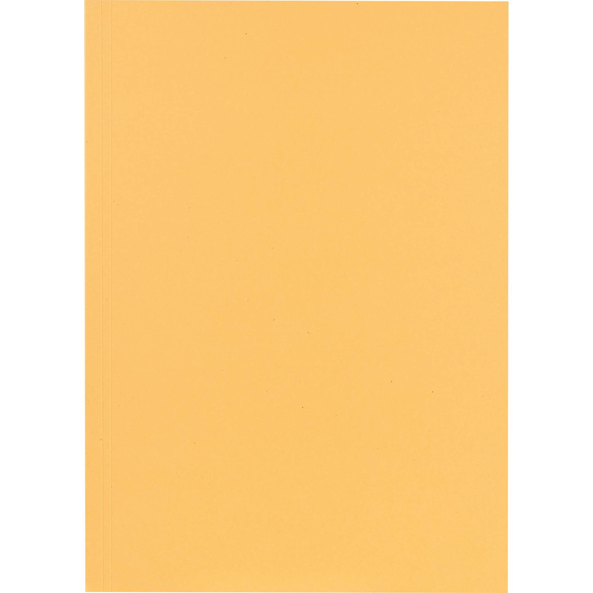 Aktendeckel 23x31,8cm 250g ch 100 St./Pack.