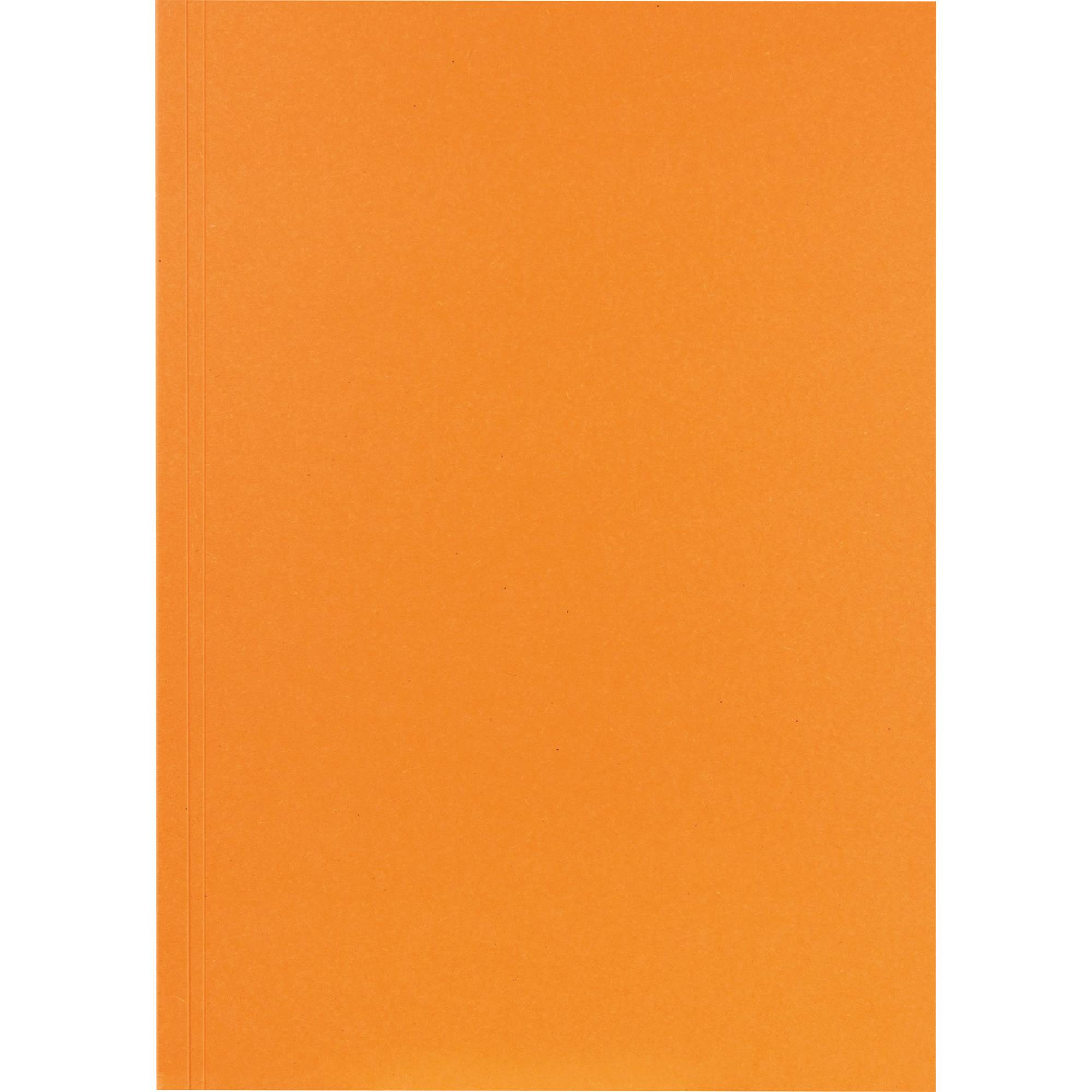 Aktendeckel 23x31,8cm 250g or 100 St./Pack.-0
