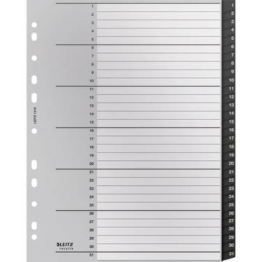 Register Recycle A4 1-31 schwarz