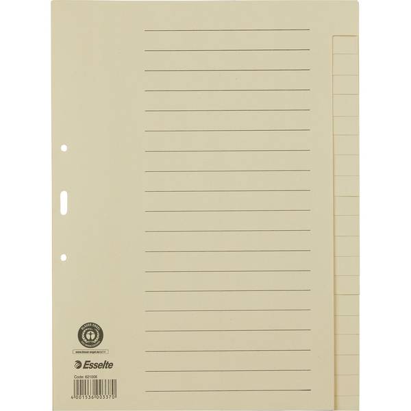 Register blanko DIN A4 20Bl. Papier chamois