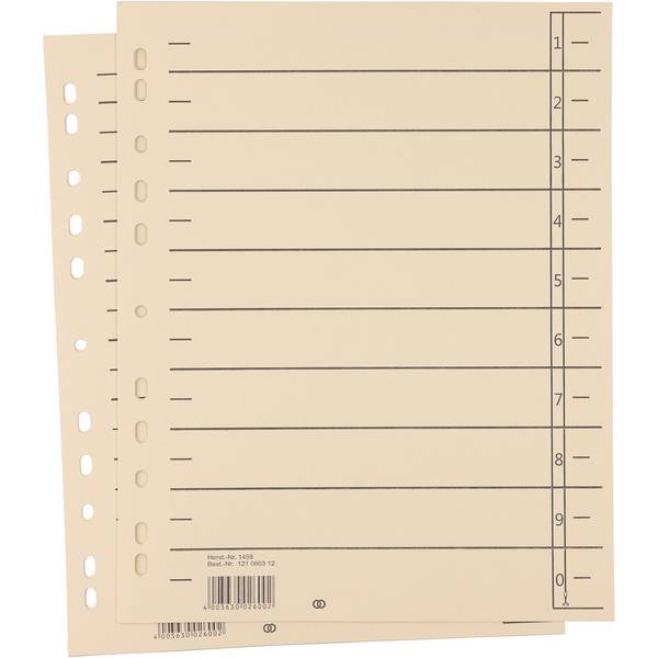 Trennblatt oeco A4 230g Karton ch 100St.