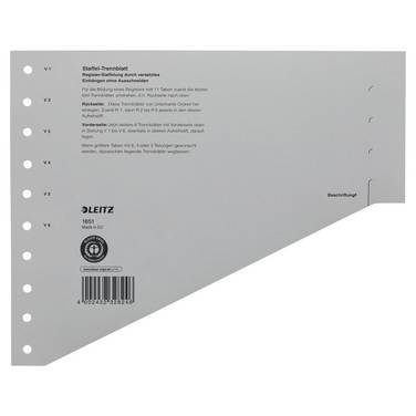 Trennblatt A4 200g Karton grau 100 St./Pack.