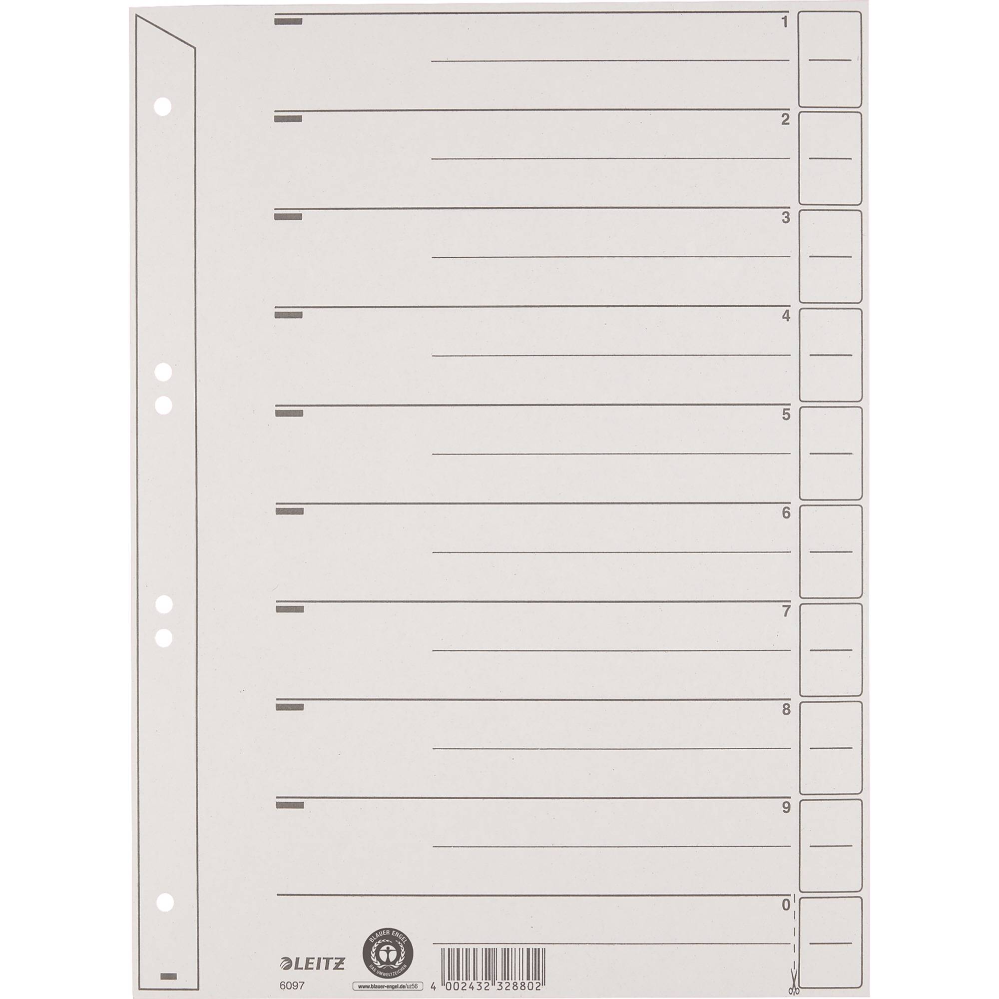 Trennblatt A4 200g Karton gr 100 St./Pack.-0