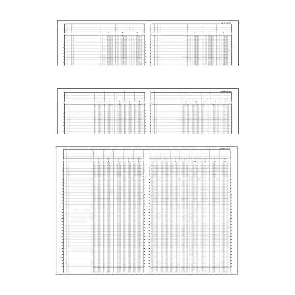 Exacompta Kolonnenbuch 17100E DIN A4 10Spalten/2Seiten 40Blatt