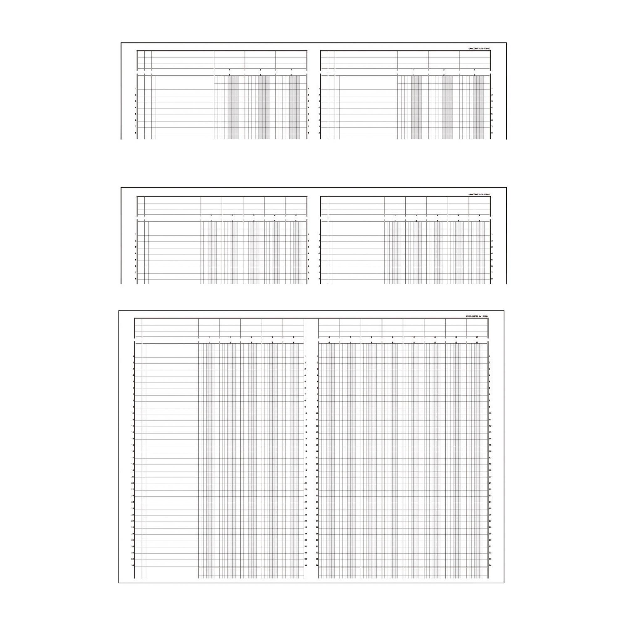 Exacompta Kolonnenbuch 17100E DIN A4 10Spalten/2Seiten 40Blatt-0