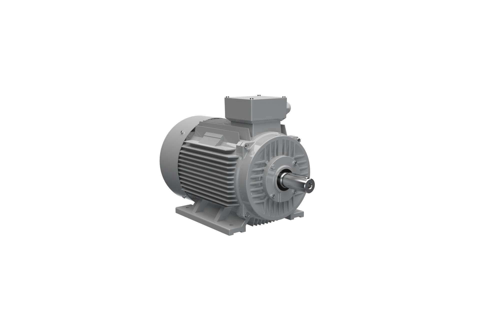 AC-Motoren AC18L4600000, Dreiphasen-Asynchronmotor, ACM 180 L 4/6-2