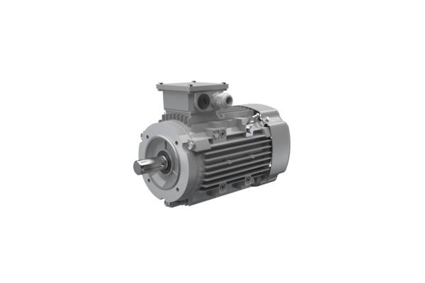 AC-Motoren AC13M4800003, Dreiphasen-Asynchronmotor, FCA 132 M 4/8