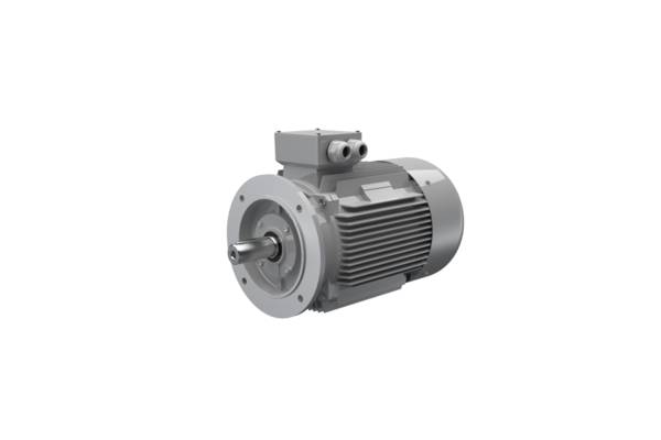 AC-Motoren IE3AC20L4002, Dreiphasen-Asynchronmotor, FCM 200 L 4 /PHE