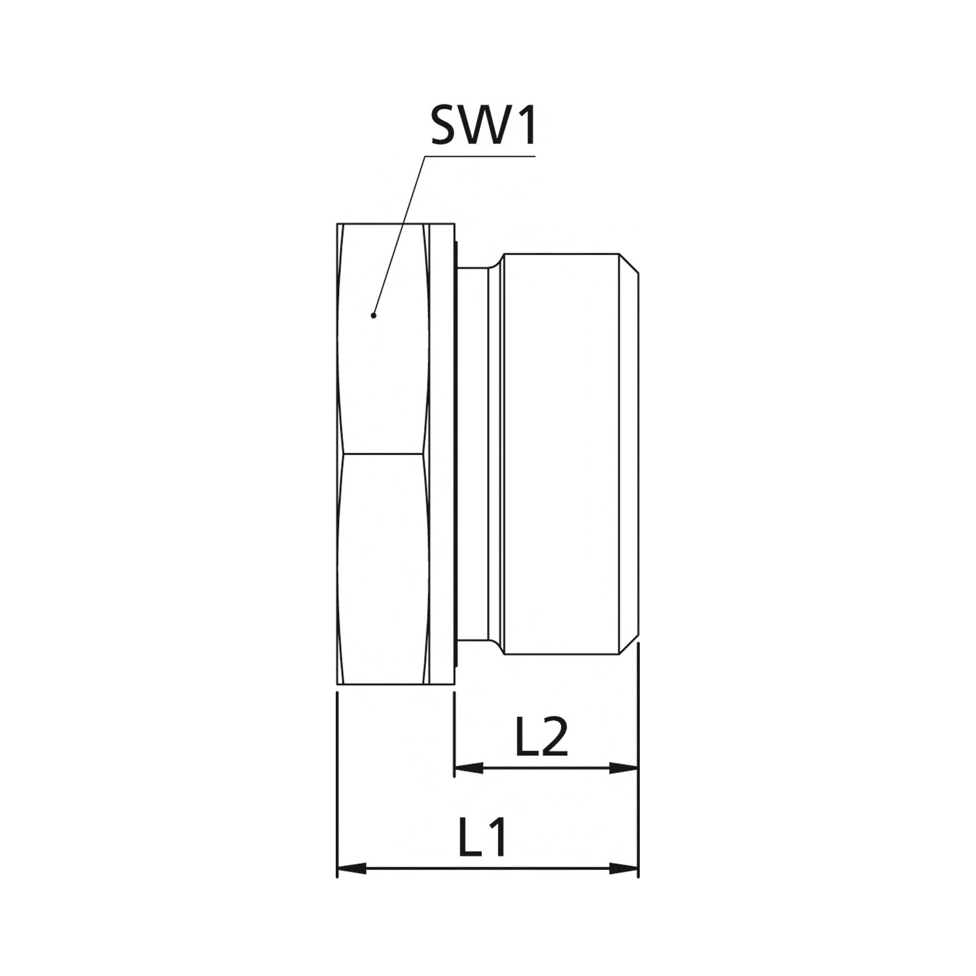 RIEGLER Kurze Wechselreduzierung, weichdichtend, G 1 1/2 a., G 1 i., PN max. 315 bar, SW1 55, Stahl verzinkt.-2