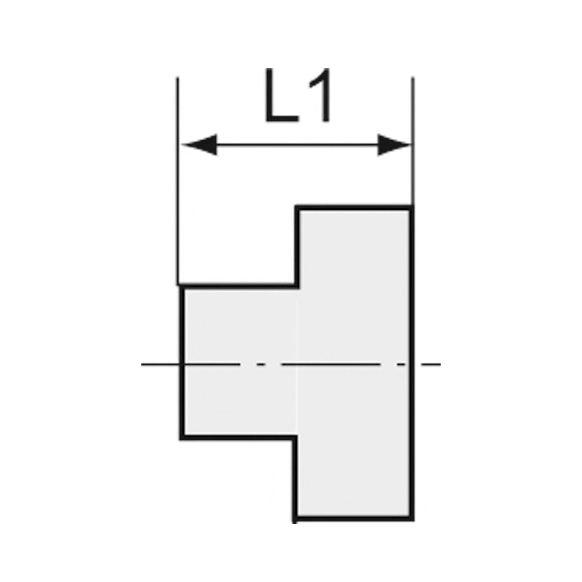 RIEGLER Verschlussstopfen, Vierkant, R 1 1/4, AG, SW 20, Arbeitsdruck max. 20 bar, ES 1.4408.-1