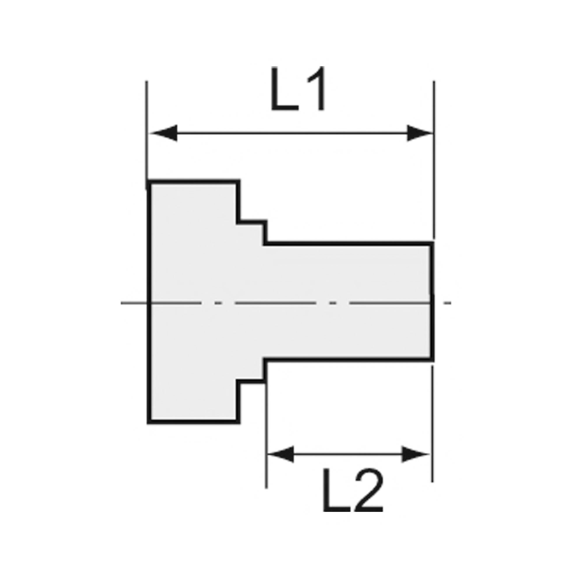 RIEGLER Kurze Wechselreduzierung, Weichdichtung, G 3/4 a., G 3/8 i., PN max. 315 bar, Edelstahl 1.4571. Ausführung mit-2