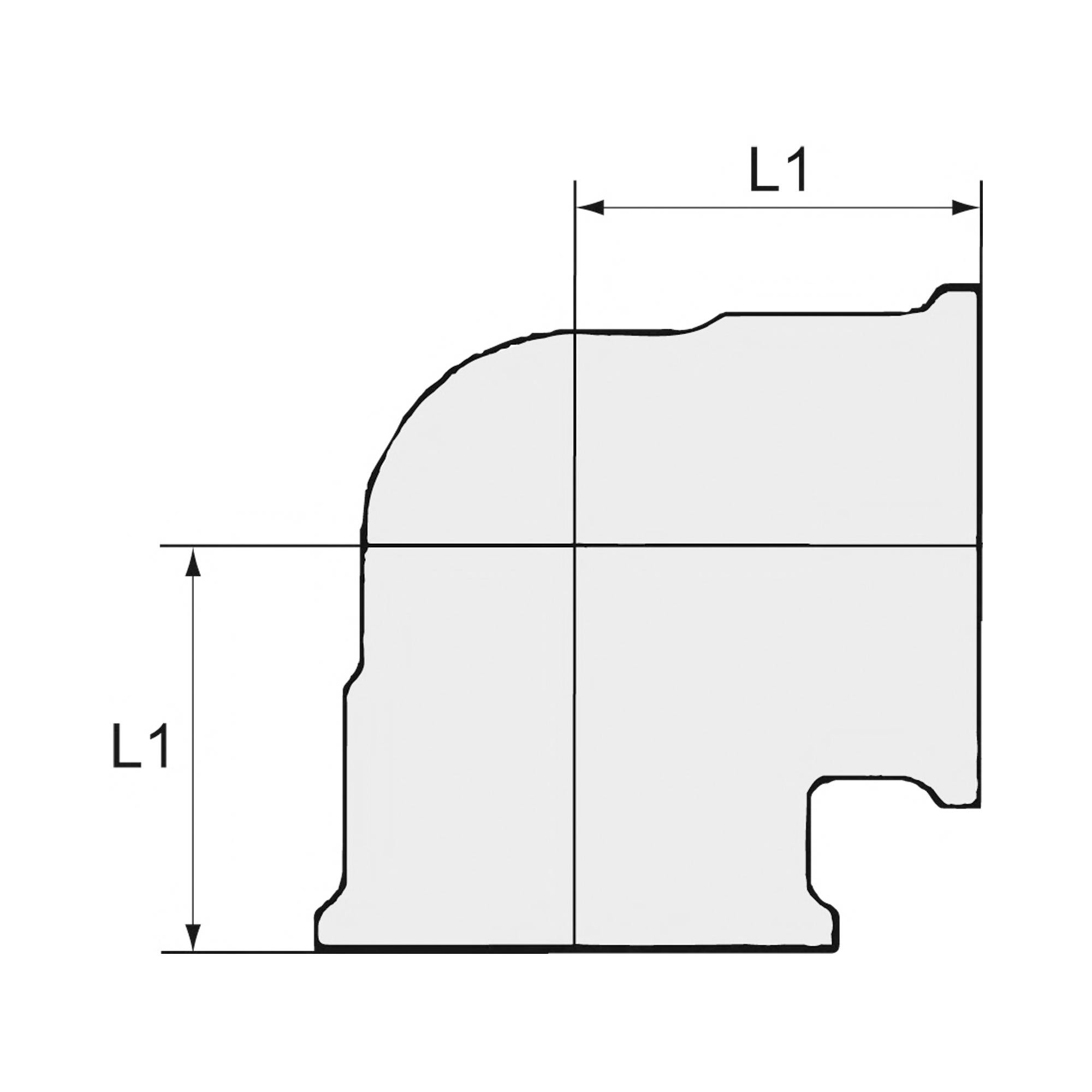 RIEGLER Winkelstück, 90°, innen/innen, G 1/4, Betriebsdruck max. 16 bar, Betriebstemperatur max. 120 °C, Messing blank.-1