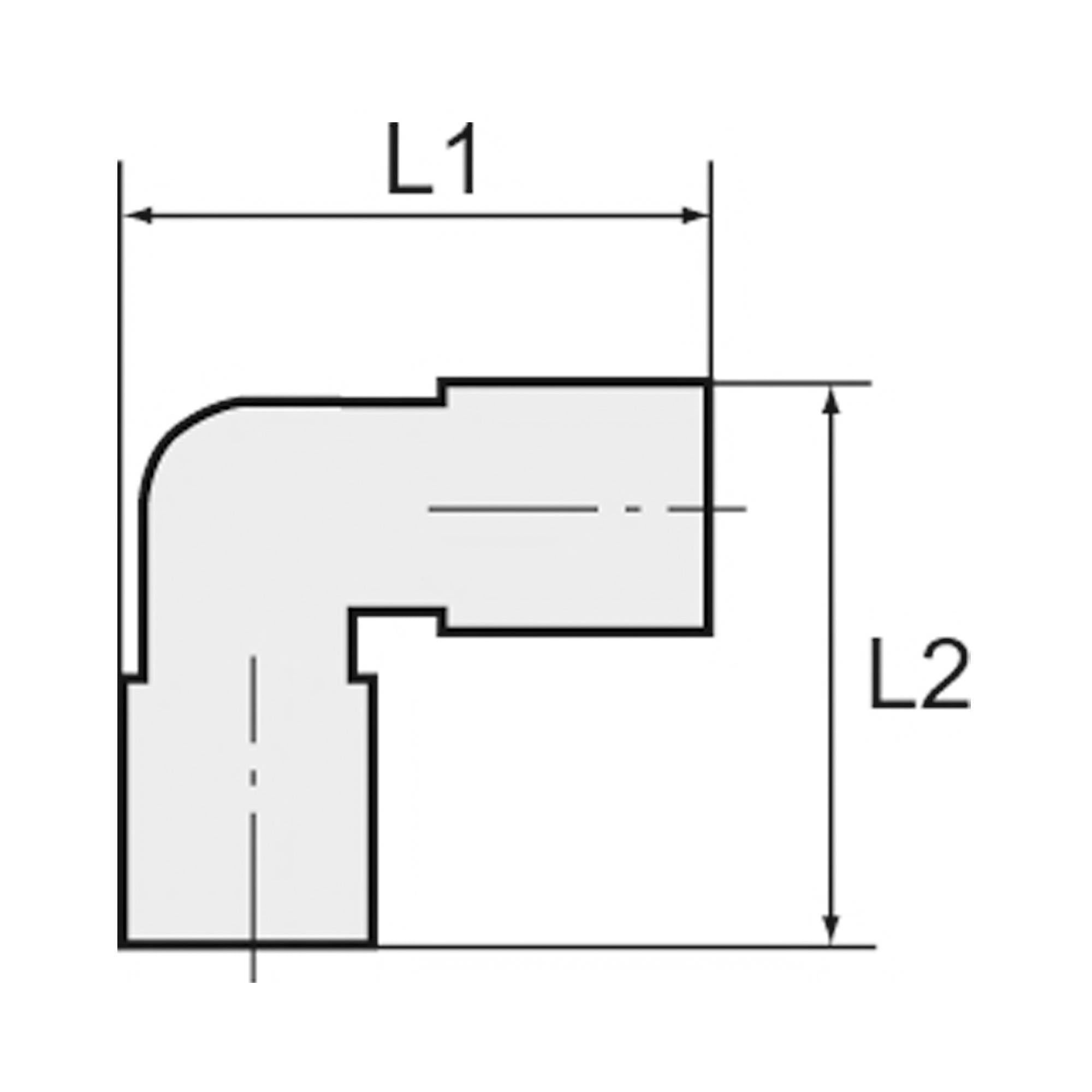 RIEGLER Winkel-Einschraubverschraubung POM, G 1/2 a., für Schlauch-Außen-Ø 12 mm, Arbeitsdruck -0,95 bis 10 bar . Schne-2