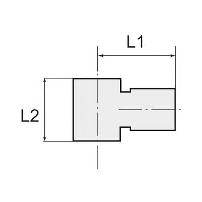 RIEGLER L-Ringstück, für G 1/8, für Schlauch-Außen-Ø 4 mm, Arbeitsdruck max. 15 bar, Edelstahl 1.4404. Für den Einsatz-2