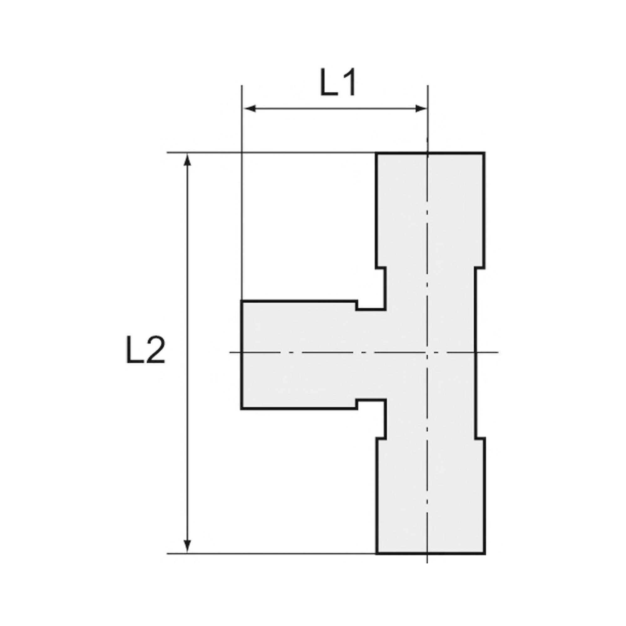 RIEGLER T-Steckverschraubung, drehbar, L-Form, R 1/4 a., für Schlauch-Außen-Ø 12 mm, Arbeitsdruck -0,98 - 20 bar, Edelst-2